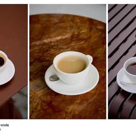 Elite Historic Center Apartment Danzig